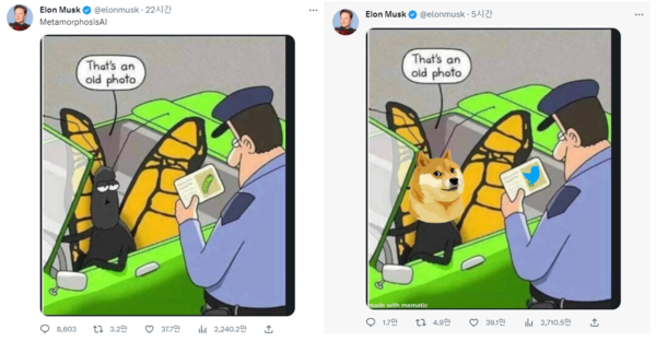 로고 교체를 암시하는 일론 머스크의 트윗 / 사진=일론 머스크 트위터 갈무리