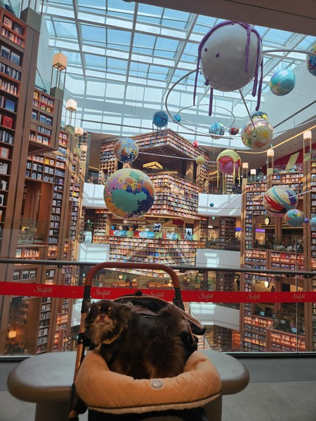 사진=이수호 기자