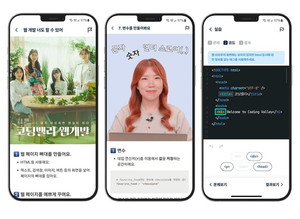 코딩부터 헬스케어까지···웹드라마 판이 커진다