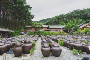 [테크M 트렌드] "한우, 굴비 대신 '경험'을 선물한다"...'물건' 덜어내고... - 뉴스 썸네일 이미지